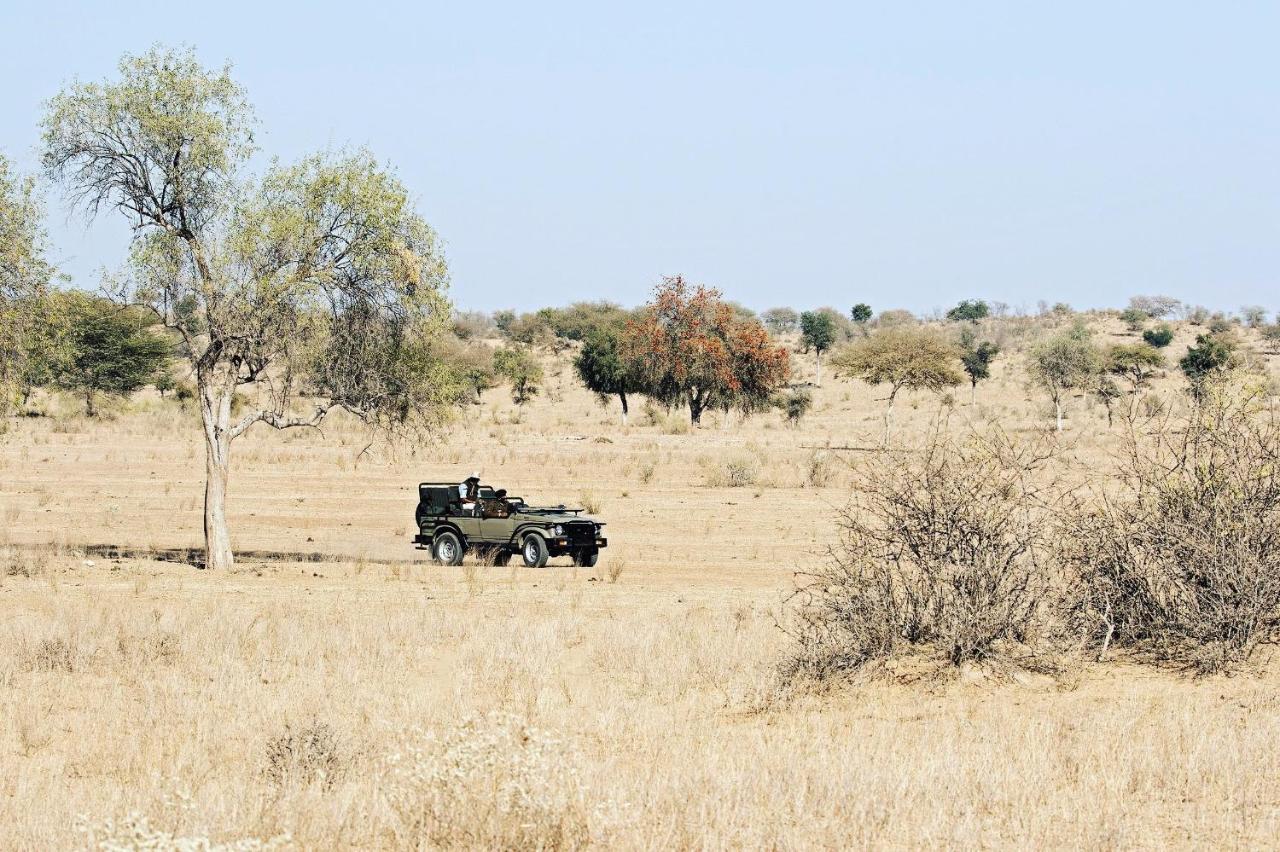 Manvar Resort & Desert Camp Dechu Zewnętrze zdjęcie